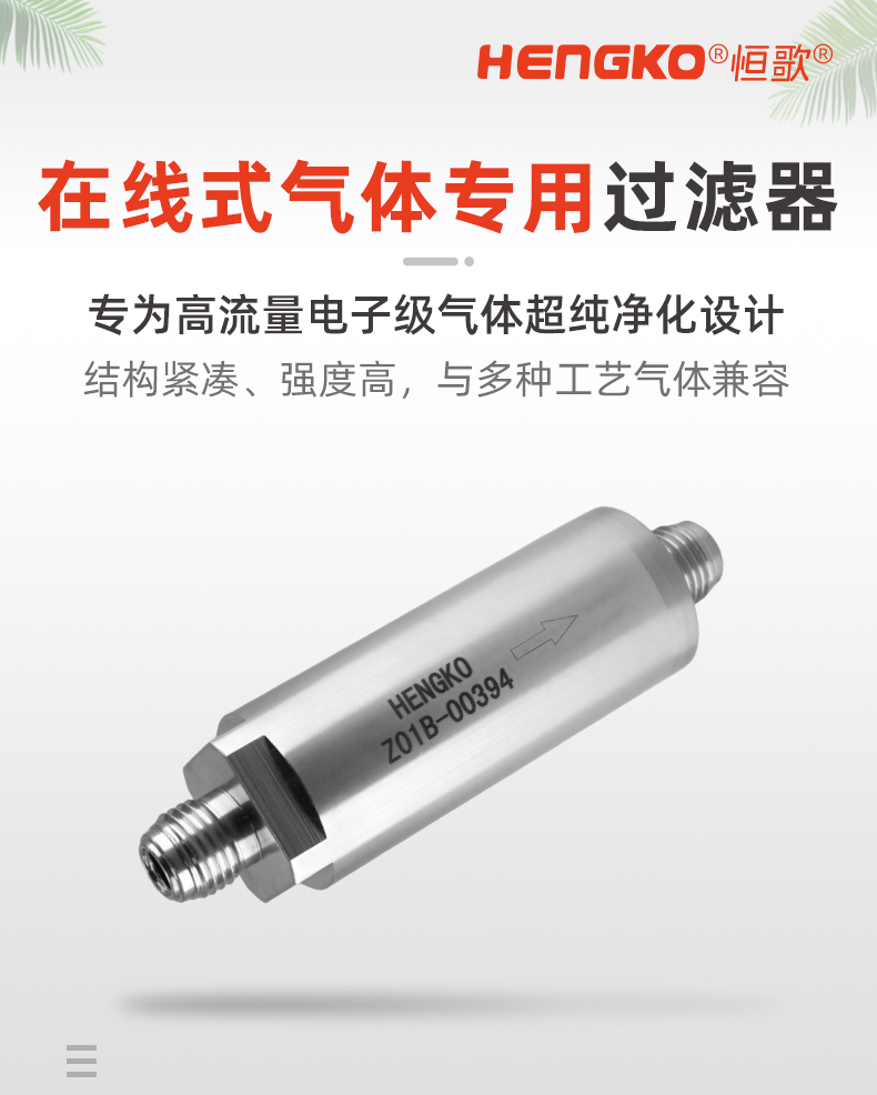 20241130-在線式專用氣體過(guò)濾器_01.jpg